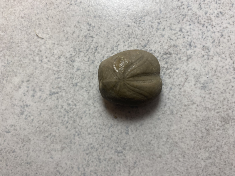 IMG_4891.jpeg (2.35 MiB) 2664 keer bekeken IMG_4891.jpeg