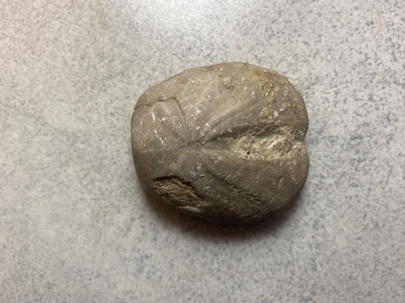 IMG_4893.jpeg (2.33 MiB) 2674 keer bekeken IMG_4893.jpeg