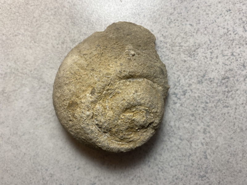 IMG_4894.jpeg (2.72 MiB) 2216 keer bekeken IMG_4894.jpeg