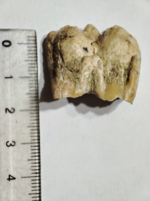 IMG_20230806_165500.jpg (394.73 KiB) 3067 keer bekeken IMG_20230806_165500.jpg