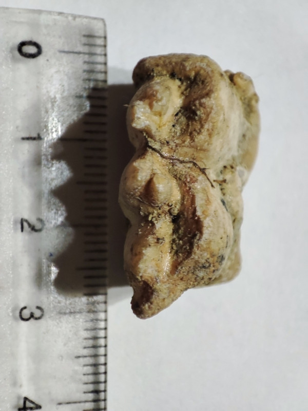 IMG_20230806_170800.jpg (423.83 KiB) 2653 keer bekeken IMG_20230806_170800.jpg