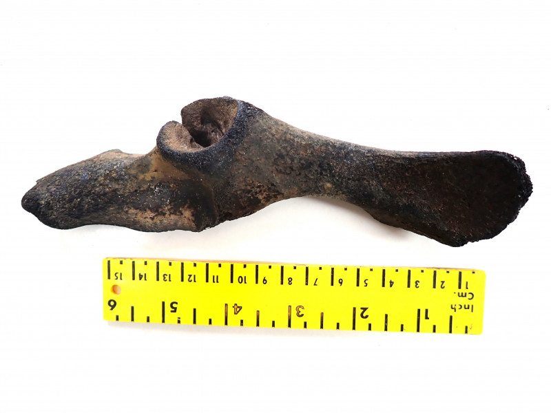 P8120001.JPG (884.33 KiB) 4746 keer bekeken P8120001.JPG