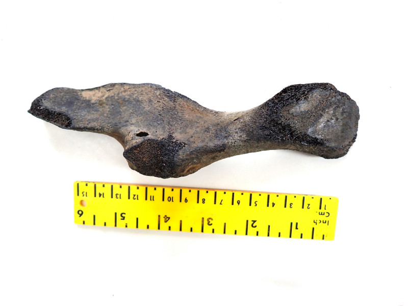 P8120003.JPG (942.85 KiB) 3419 keer bekeken P8120003.JPG