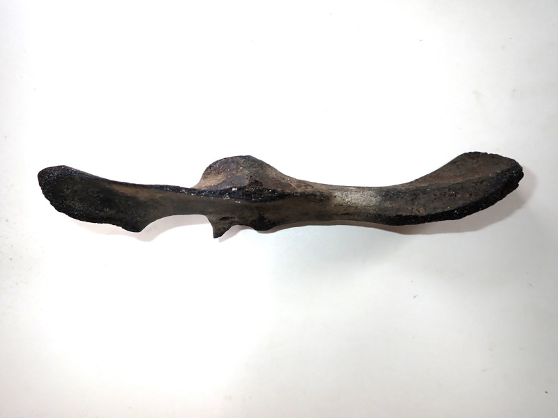 P8120006.JPG (1.01 MiB) 3814 keer bekeken P8120006.JPG