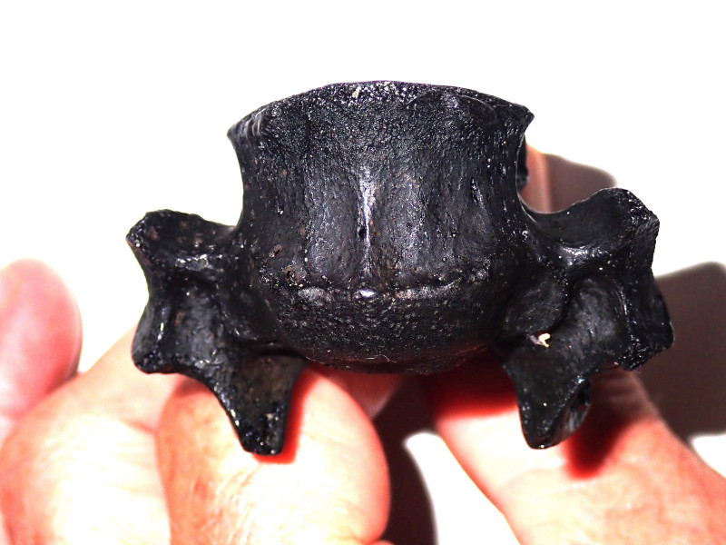 P8140020.JPG (1.83 MiB) 281 keer bekeken P8140020.JPG