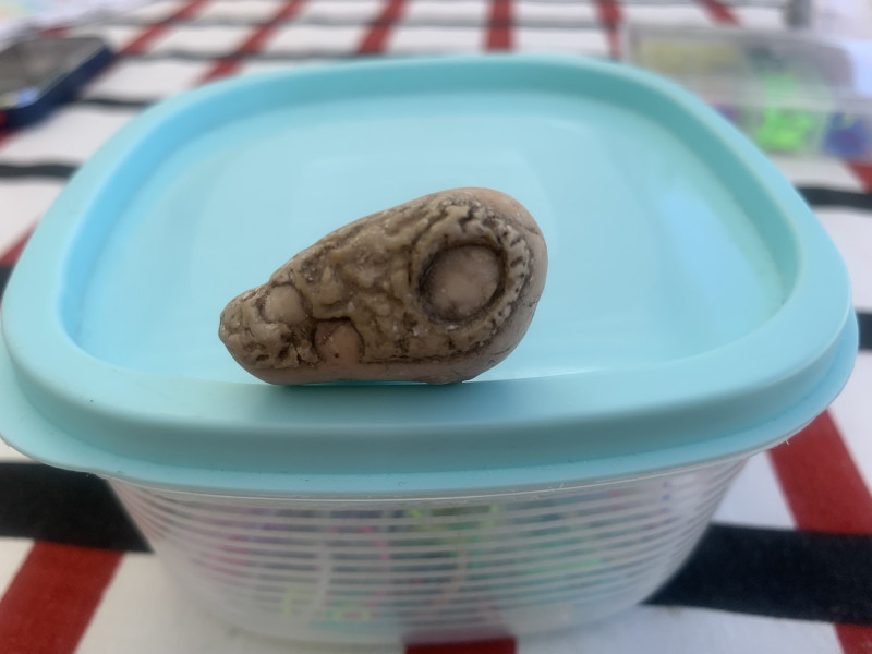 IMG_6723.jpeg (1.34 MiB) 3764 keer bekeken IMG_6723.jpeg