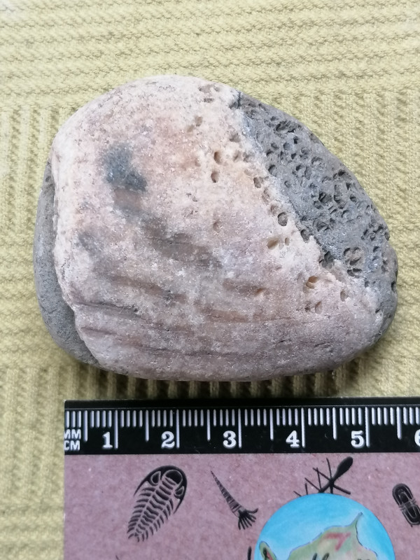 IMG_20230824_191519.jpg (3.11 MiB) 830 keer bekeken IMG_20230824_191519.jpg