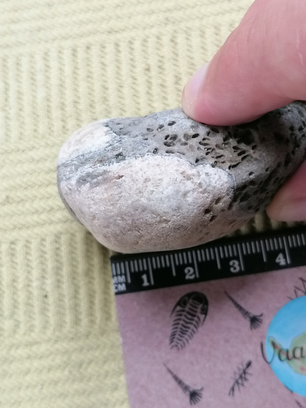 IMG_20230824_191559.jpg (1.99 MiB) 889 keer bekeken IMG_20230824_191559.jpg