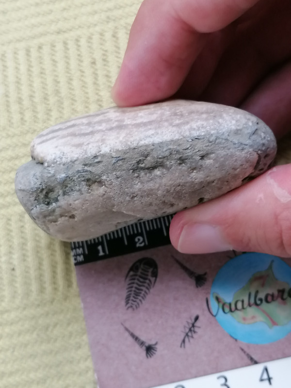 IMG_20230824_191626.jpg (1.95 MiB) 830 keer bekeken IMG_20230824_191626.jpg