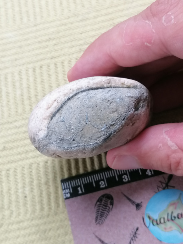 IMG_20230824_191648.jpg (1.98 MiB) 889 keer bekeken IMG_20230824_191648.jpg