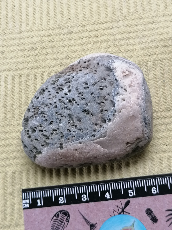 IMG_20230824_191731.jpg (3.39 MiB) 889 keer bekeken IMG_20230824_191731.jpg