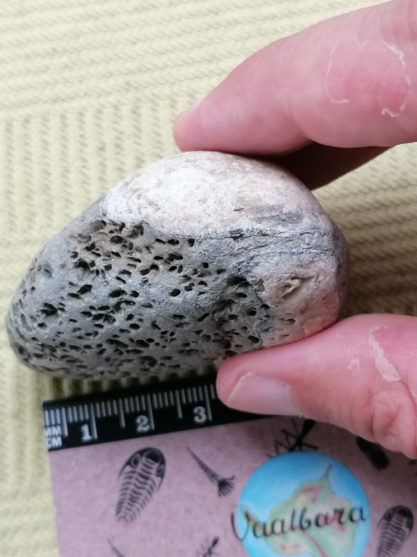 IMG_20230824_191747.jpg (2.06 MiB) 889 keer bekeken IMG_20230824_191747.jpg