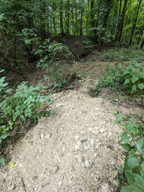 PXL_20230801_114156049.jpg