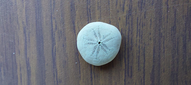 20230905_091250.jpg (850.61 KiB) 369 keer bekeken 20230905_091250.jpg