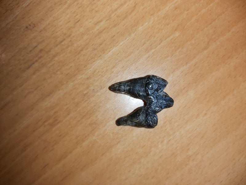 20230124_183142.jpg (2.5 MiB) 1372 keer bekeken 20230124_183142.jpg