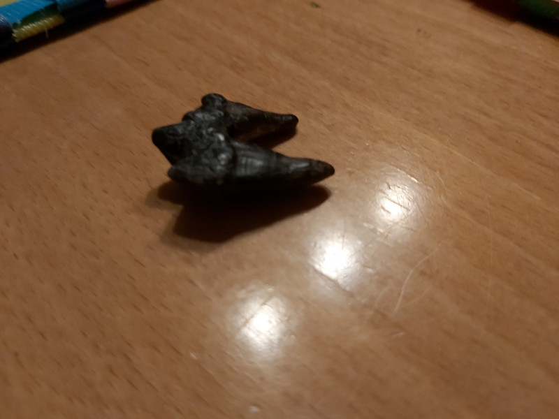 20230124_183159.jpg (1.9 MiB) 1372 keer bekeken 20230124_183159.jpg