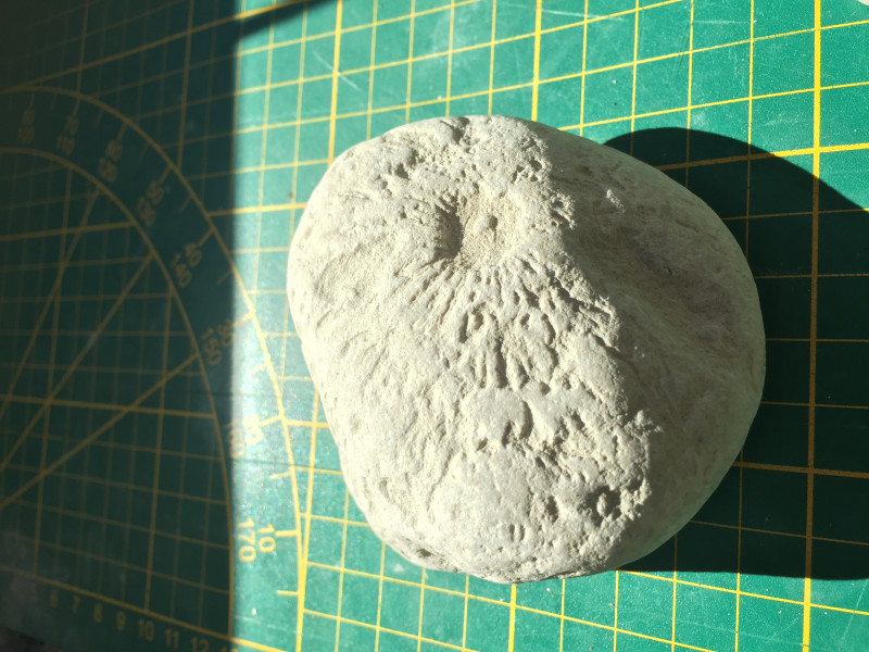 6A294A42-CE2C-4087-9083-99BE0347D48D.jpeg (2.17 MiB) 2910 keer bekeken 6A294A42-CE2C-4087-9083-99BE0347D48D.jpeg