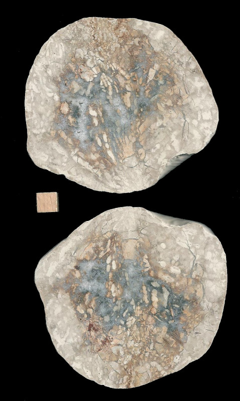 1.JPG (370.17 KiB) 2545 keer bekeken 1.JPG