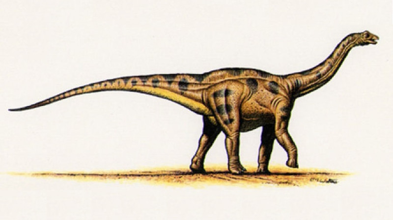 NGV_THM_PLK_Sauropod_Dinosaurier.jpg