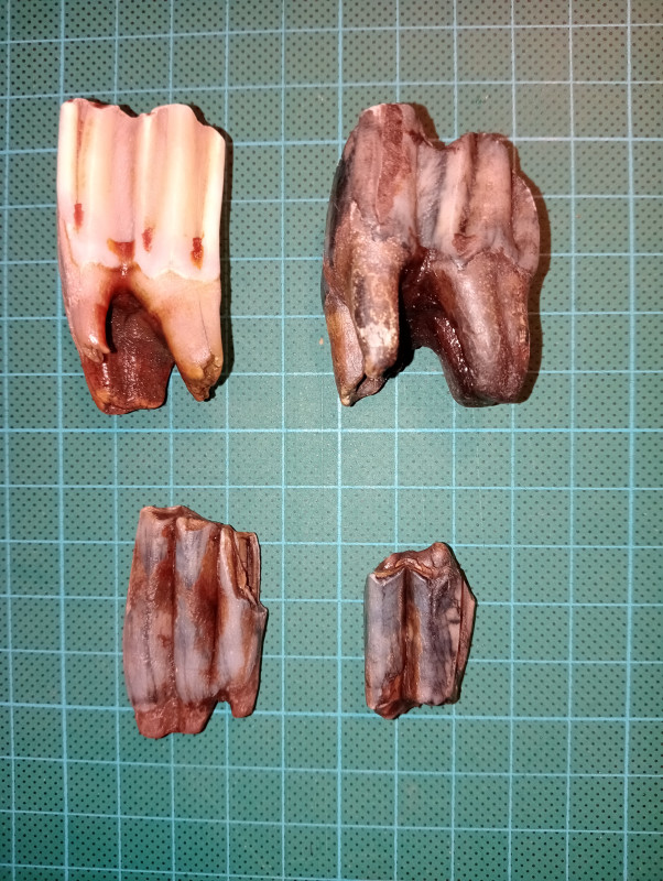 IMG20231118004225.jpg (4.26 MiB) 3762 keer bekeken IMG20231118004225.jpg