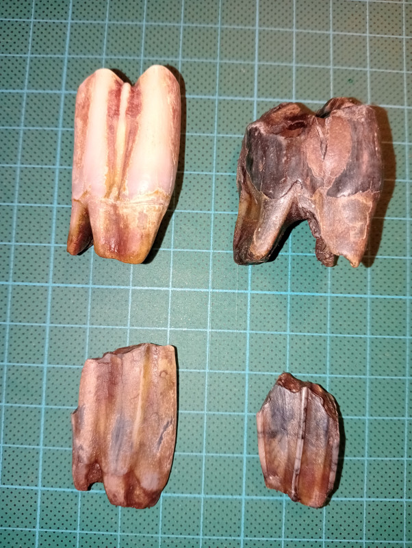 IMG20231118004152.jpg (4.04 MiB) 3762 keer bekeken IMG20231118004152.jpg