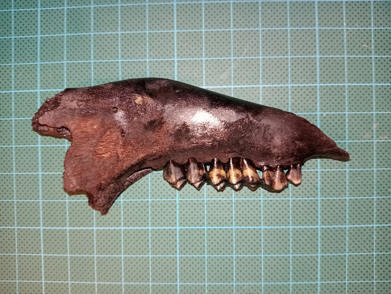 IMG20231118004750.jpg (4.52 MiB) 3271 keer bekeken IMG20231118004750.jpg