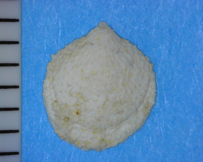 A182 - 20240102_073712.jpg