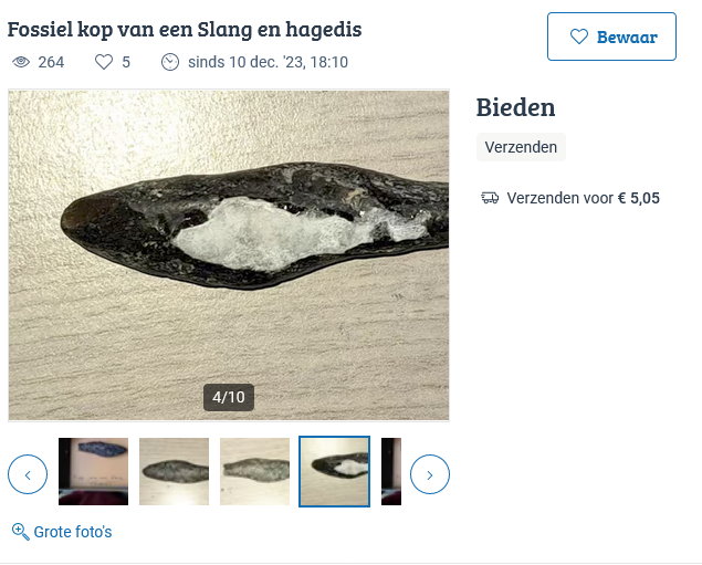 Screenshot 2024-01-11 at 14-53-52 ≥ Fossiel kop van een Slang en hagedis — Mineralen en Fossielen — Marktplaats.png