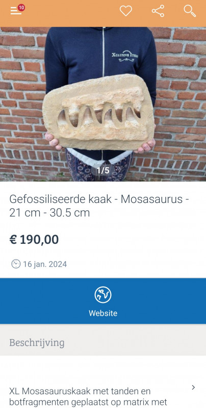 Screenshot_20240118-215426_Marktplaats.jpg