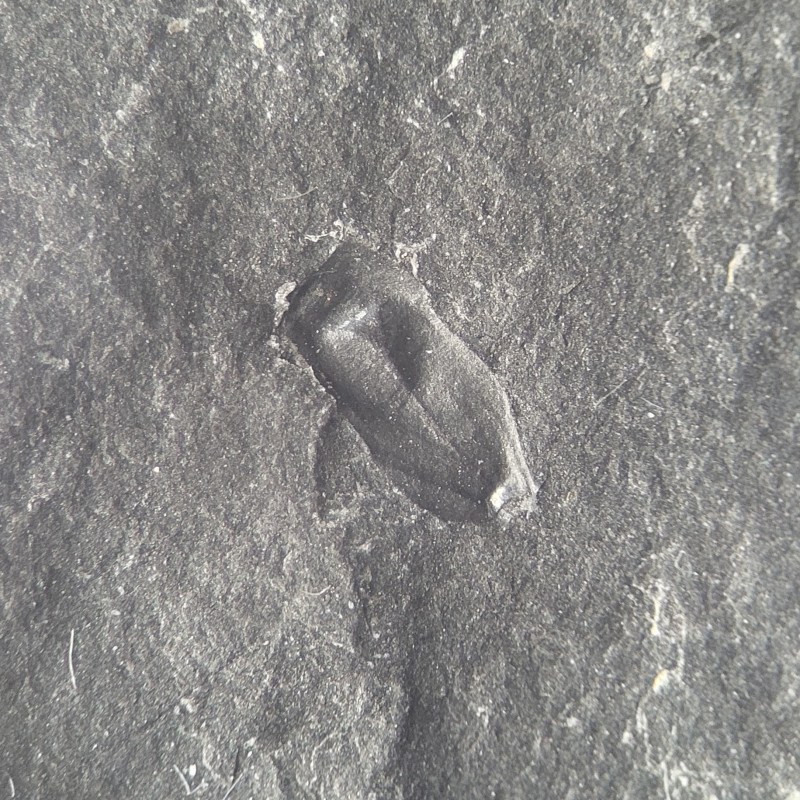 TKTW0830B-0004.jpg