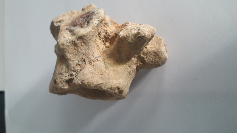 20240122_131214.jpg (2.87 MiB) 821 keer bekeken 20240122_131214.jpg