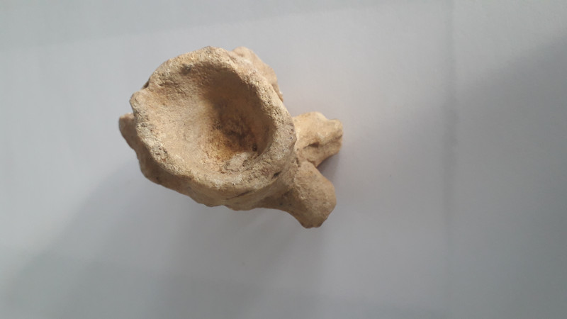 20240122_131245.jpg (2.43 MiB) 821 keer bekeken 20240122_131245.jpg