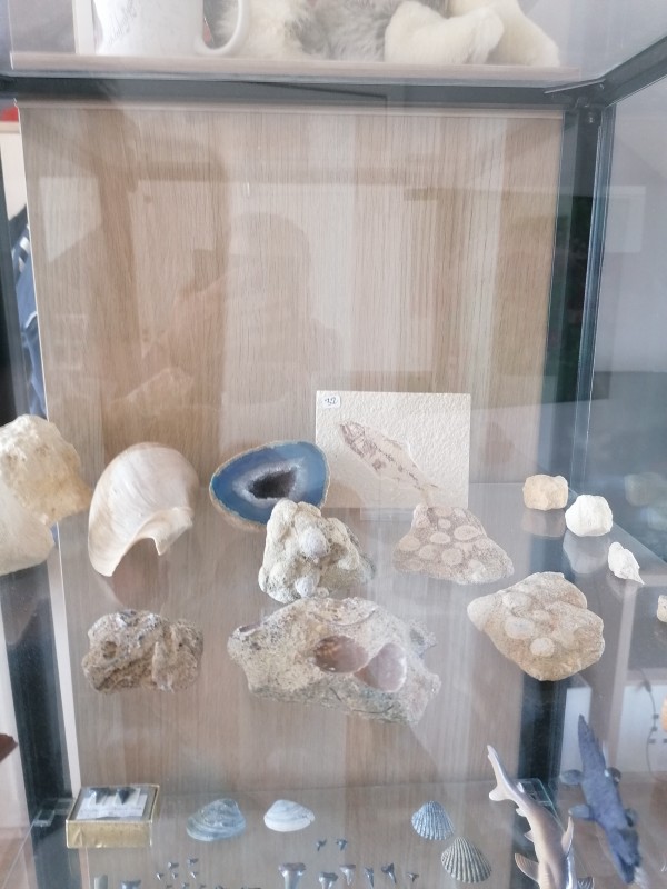 IMG_20200401_132258.jpg (3.08 MiB) 1535 keer bekeken Bovenste plank.