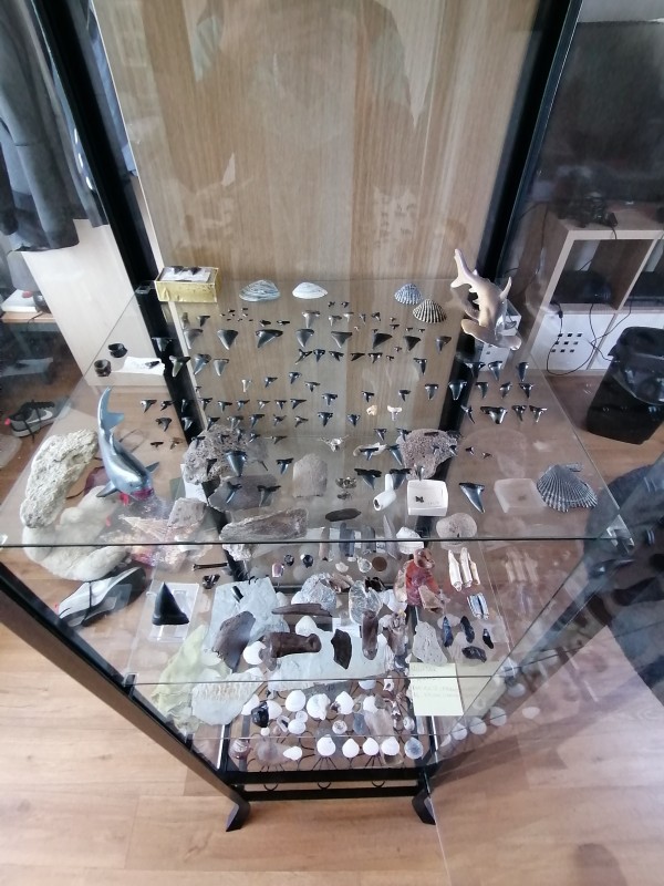 IMG_20200401_132411.jpg (1.83 MiB) 1510 keer bekeken Tweede bovenste plank.