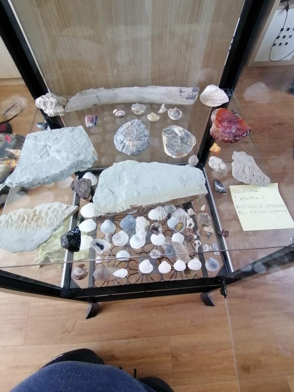 IMG_20200401_132451.jpg (1.59 MiB) 1634 keer bekeken 1 na onderste plank.