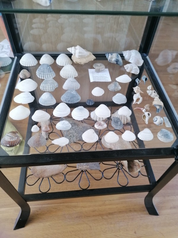 IMG_20200401_132520.jpg (3.4 MiB) 1634 keer bekeken Onderste plank.