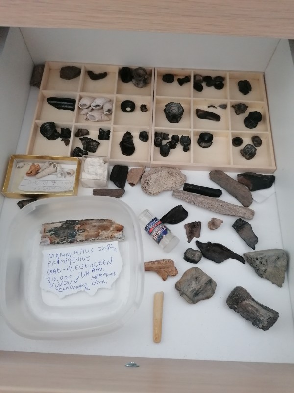 IMG_20200401_132606.jpg (2.99 MiB) 1633 keer bekeken IMG_20200401_132606.jpg