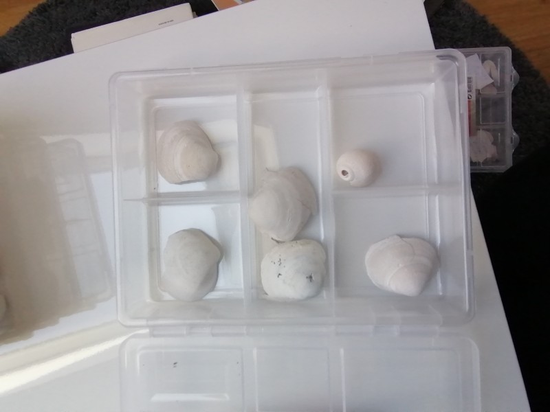 IMG_20200401_133643.jpg (893.98 KiB) 1633 keer bekeken IMG_20200401_133643.jpg