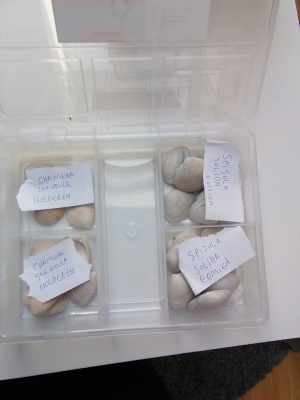 IMG_20200401_133721.jpg (974.28 KiB) 1583 keer bekeken IMG_20200401_133721.jpg