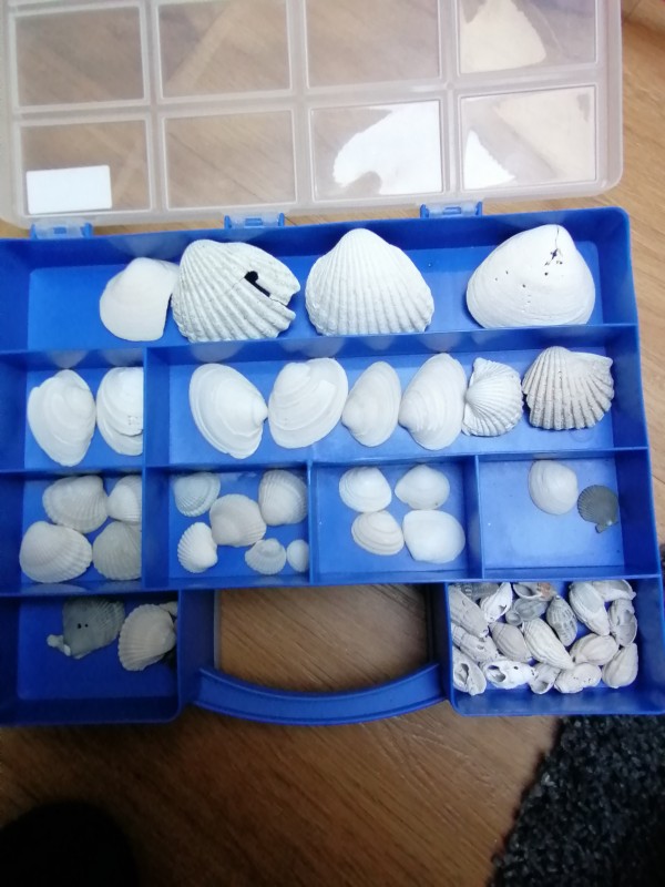 IMG_20200401_134135.jpg (1.32 MiB) 1583 keer bekeken IMG_20200401_134135.jpg