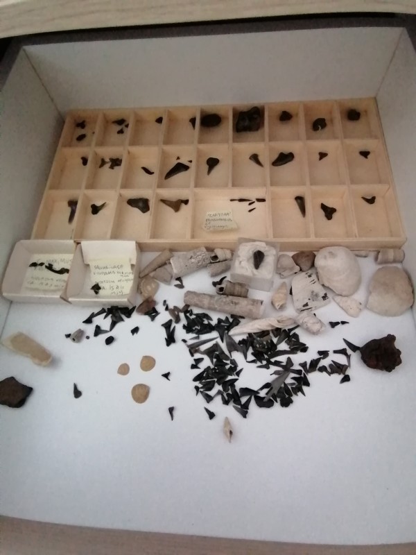 IMG_20200401_132633.jpg (1.22 MiB) 1632 keer bekeken IMG_20200401_132633.jpg