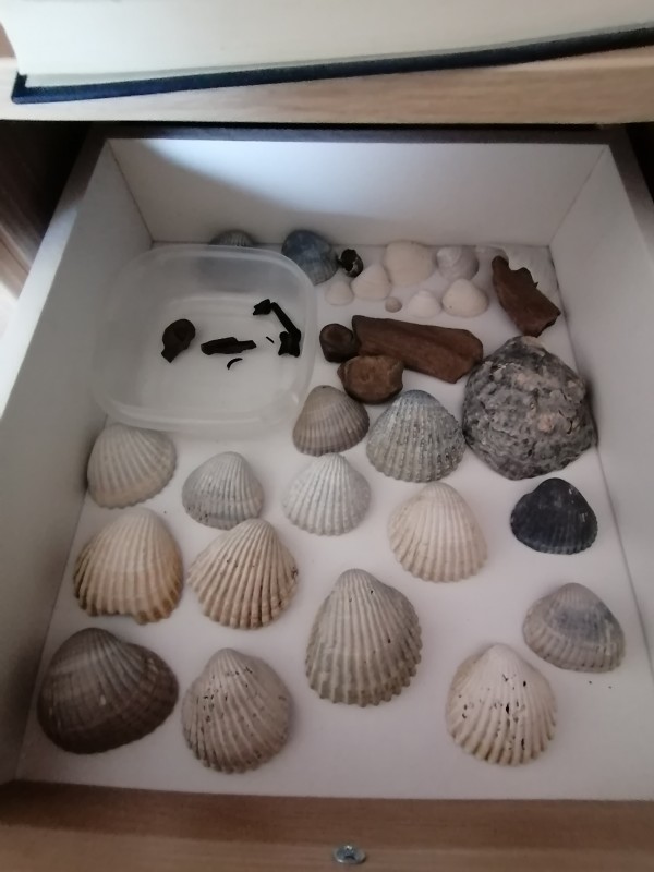 IMG_20200401_132757.jpg (1.15 MiB) 1531 keer bekeken IMG_20200401_132757.jpg