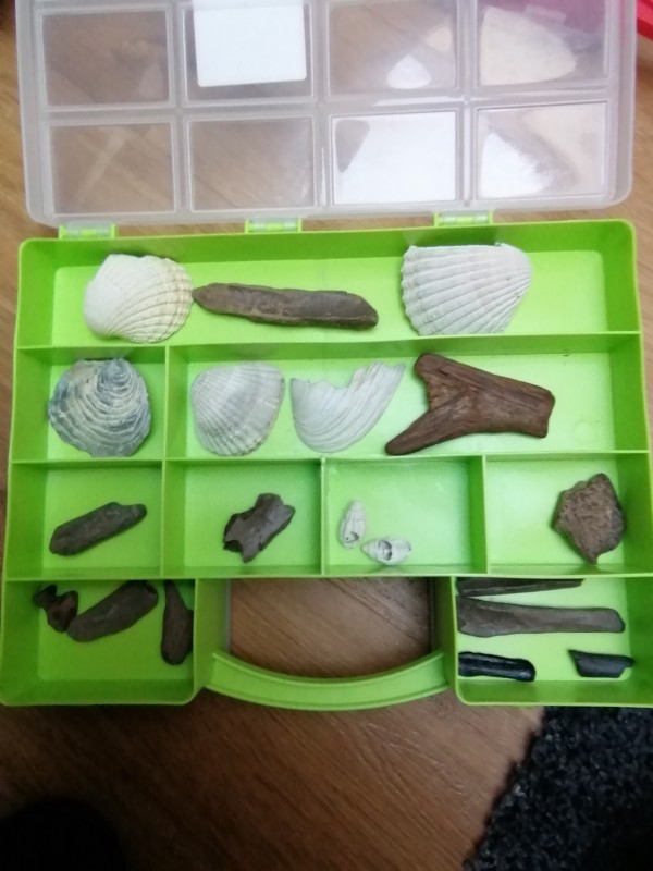 IMG_20200401_134235.jpg (1.16 MiB) 1506 keer bekeken IMG_20200401_134235.jpg