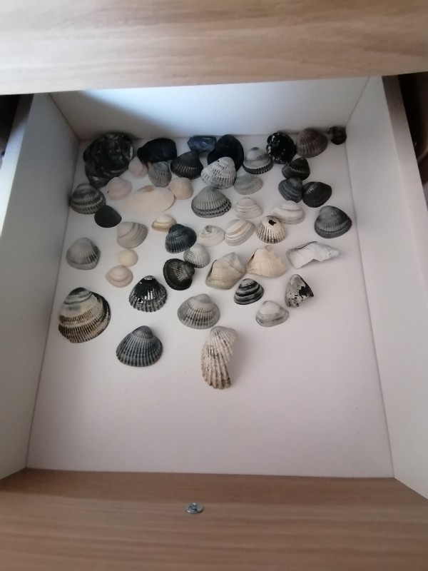 IMG_20200401_132815.jpg (1.05 MiB) 1505 keer bekeken IMG_20200401_132815.jpg