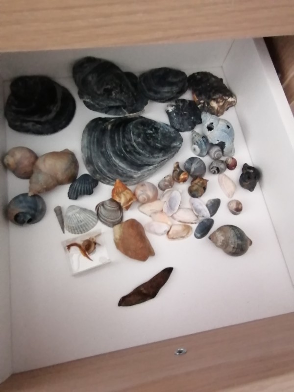 IMG_20200401_132904.jpg (1.18 MiB) 1629 keer bekeken IMG_20200401_132904.jpg