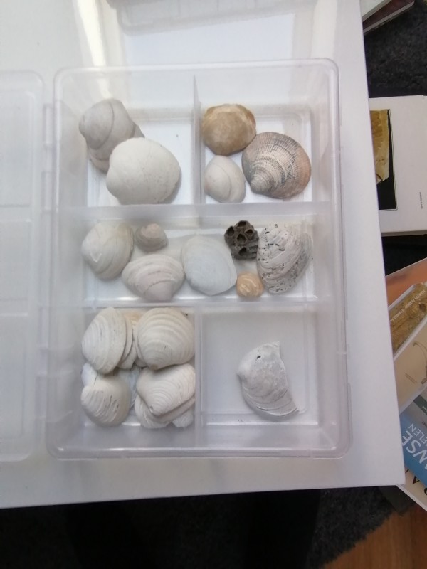 IMG_20200401_132943.jpg (1.05 MiB) 1637 keer bekeken IMG_20200401_132943.jpg