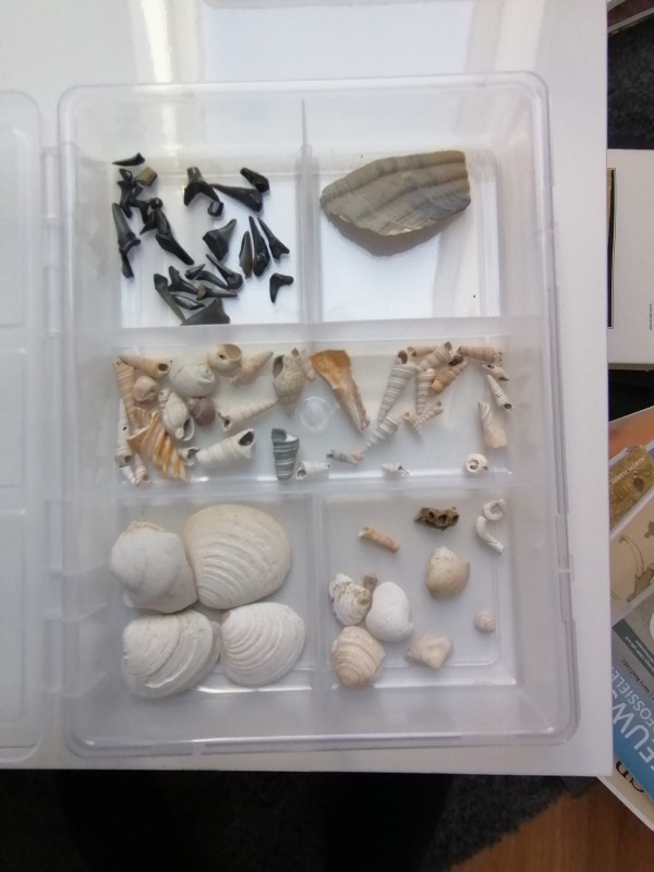 IMG_20200401_133016.jpg (1.13 MiB) 1526 keer bekeken IMG_20200401_133016.jpg