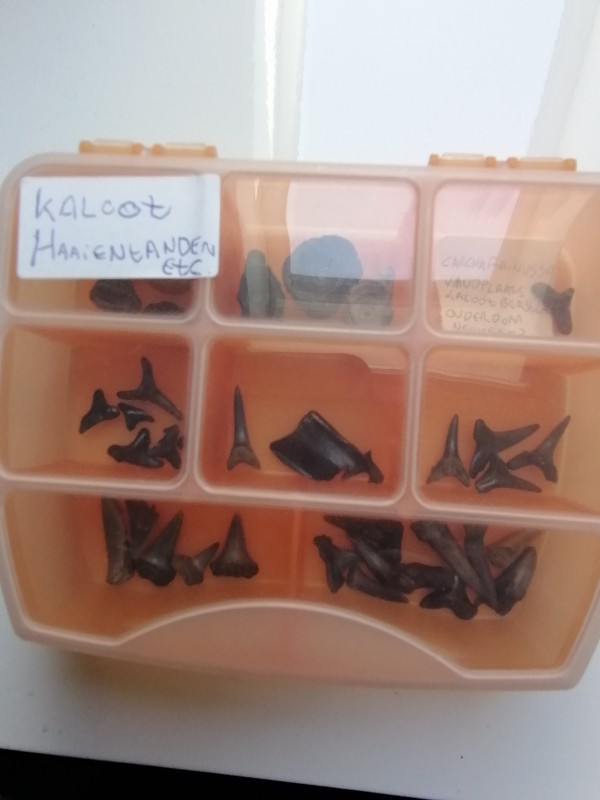 IMG_20200401_133217.jpg (1.11 MiB) 1637 keer bekeken IMG_20200401_133217.jpg