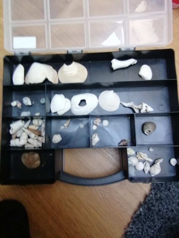 IMG_20200401_134055.jpg (1.11 MiB) 1529 keer bekeken IMG_20200401_134055.jpg