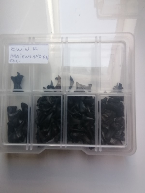 IMG_20200401_133205.jpg (1.03 MiB) 1469 keer bekeken IMG_20200401_133205.jpg